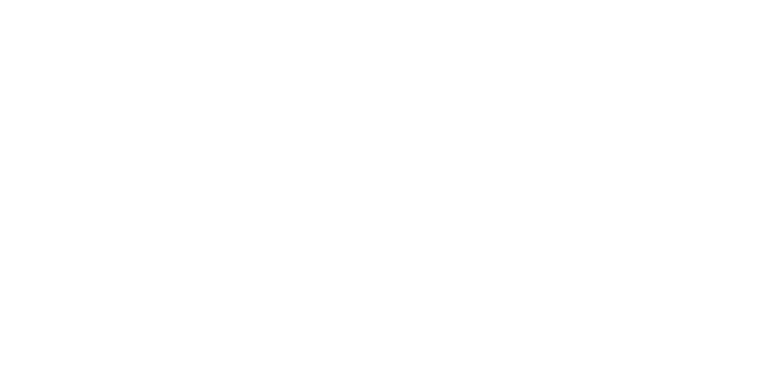 Logo 9